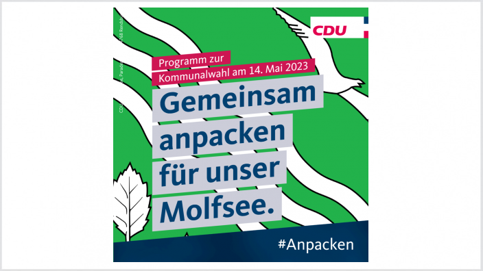 Wahlprogramm